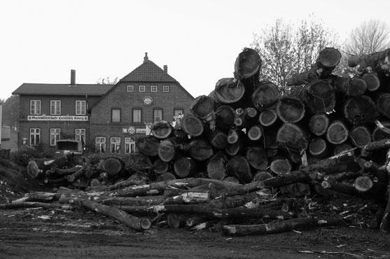 Dokumentation Kronsforde, 2006