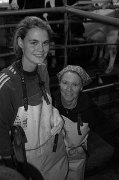 Dokumentation Kronsforde, 2006