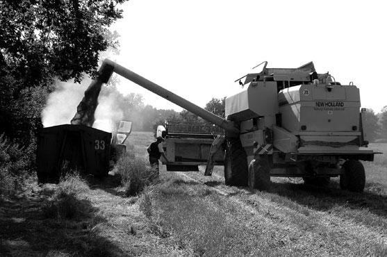 Dokumentation Kronsforde, 2006