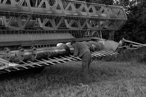 Dokumentation Kronsforde, 2006