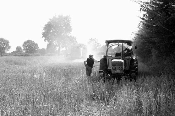 Dokumentation Kronsforde, 2006