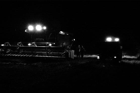 Dokumentation Kronsforde, 2006