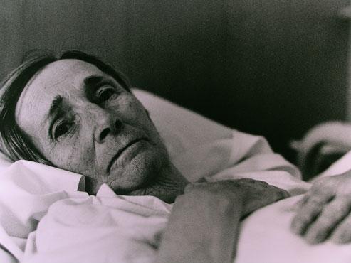 Lebenszeiten - Lebenszeichen