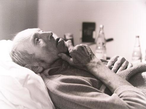 Lebenszeiten - Lebenszeichen