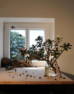 Stillleben mit Flugobjekten II + III, 2011