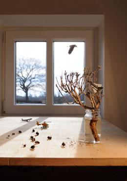 Stillleben mit Flugobjekten II + III, 2011