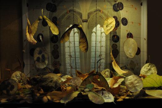 Fallende Himmelsstuermer, 2010