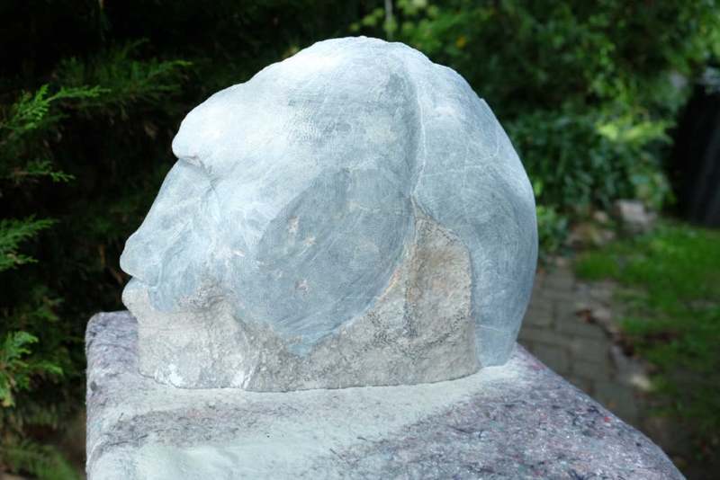 Kopf im Werden, 2016