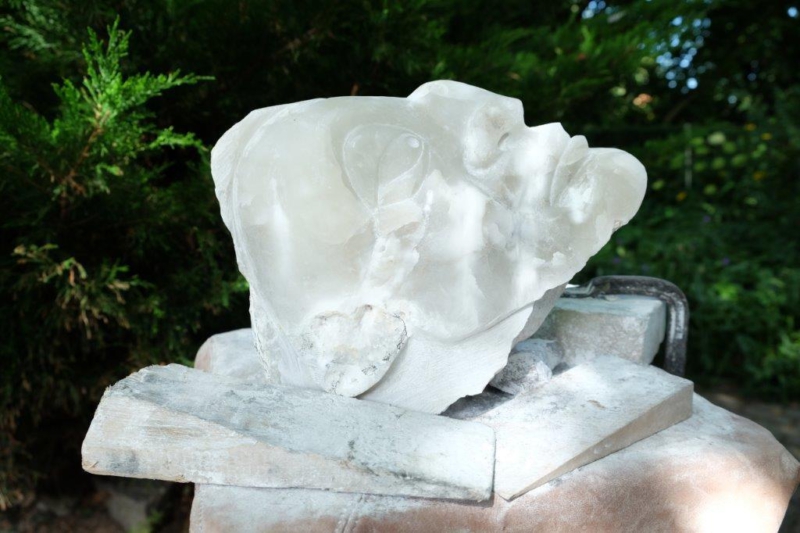 Kopf im Werden III, 2016