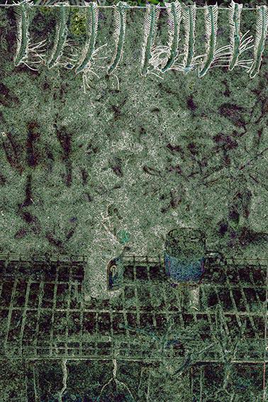 Ich habe Fisch gegessen