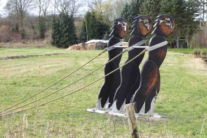 Fisch im Kopf am Elbe Lübeck Kanal, 2018 